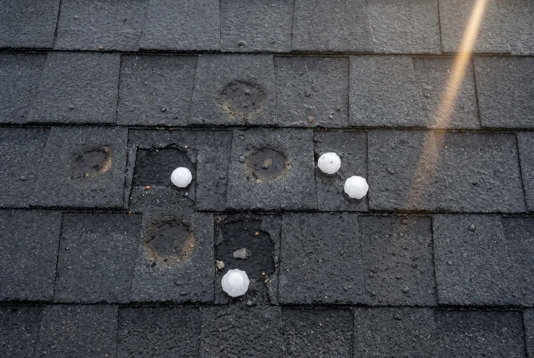 Hailstones resting on a charcoal asphalt shingle roof, with circular bruise impacts where granules have been knocked away.
